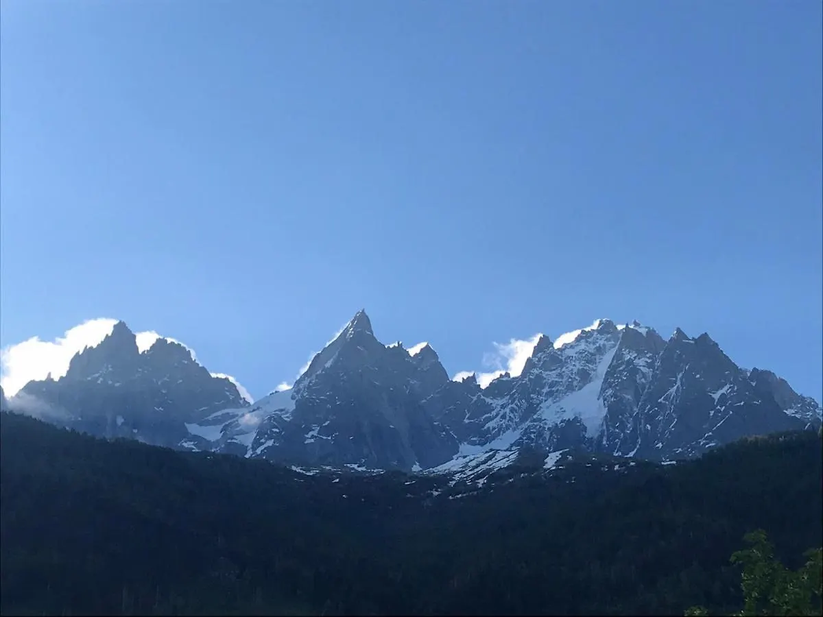 Appartement Cosy Proche Des Grands Montets Chamonix